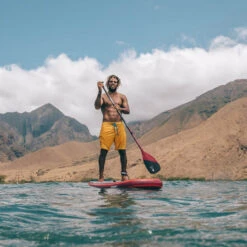 PAGAIE FANATIC CARBON 80 VARIO -FANATIC || Starboard || JOBE Soldes Boutique pagaie fanatic carbon 80 vario 2