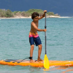 PAGAIE FANATIC RIPPER CARBON 25 VARIO 6.5 -FANATIC || Starboard || JOBE Soldes Boutique pagaie fanatic ripper carbon 25 vario 65 3