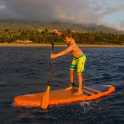 PAGAIE FANATIC RIPPER CARBON 25 VARIO 6.5 -FANATIC || Starboard || JOBE Soldes Boutique pagaie fanatic ripper carbon 25 vario 65 5